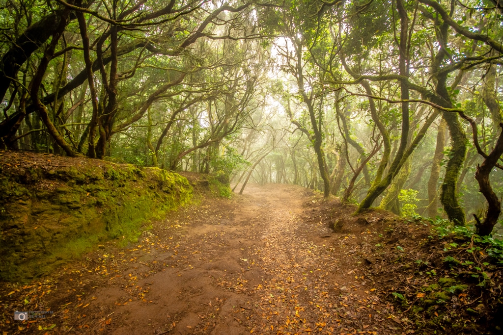 Parque rural de anaga